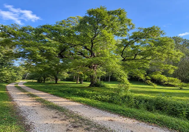 Photo 2 of Land for sale at 9999 Lone Oak Rd, Clay City, KY 40312 | MLS# 26029044 | Listing updated on 2026-10-20