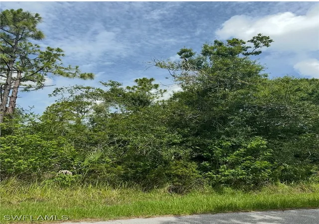 Land for sale at 3351 Tiffiny St, Punta Gorda, FL 33980 | MLS# 225059785