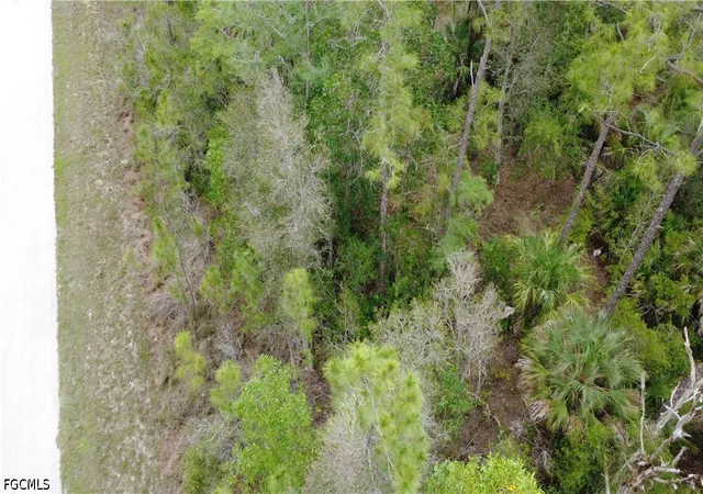 Photo 4 of Land for sale at 188 Victory Ct, Lehigh Acres, FL 33972 | MLS# 225059879 | Listing updated on 2026-09-09