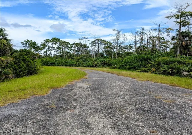 Photo 2 of Land for sale at 1837 Norma Ct, Lehigh Acres, FL 33972 | MLS# 225074120 | Listing updated on 2026-09-09
