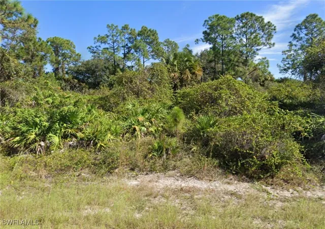 Photo 2 of Land for sale at 2604 Fitch Ave, Alva, FL 33920 | MLS# 225081422 | Listing updated on 2026-09-09