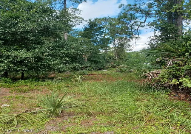 Photo 2 of Land for sale at (Undisclosed), Naples, FL 34117 | MLS# 225084475 | Listing updated on 2026-09-03