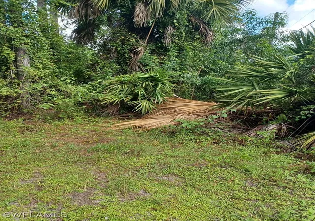 Photo 3 of Land for sale at (Undisclosed), Naples, FL 34117 | MLS# 225084475 | Listing updated on 2026-09-03