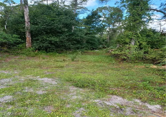 Photo 3 of Land for sale at (Undisclosed), Naples, FL 34117 | MLS# 225084475 | Listing updated on 2026-09-03
