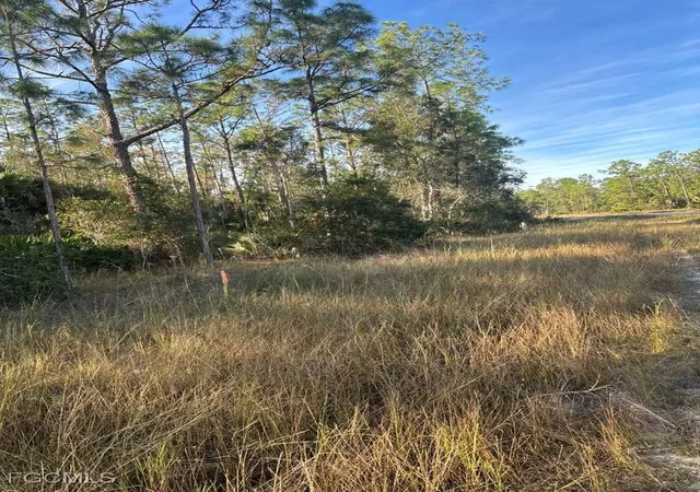 Photo 4 of Sale Pending at 267 Woodburn Dr, Lehigh Acres, FL 33972 | MLS# 2026004170 | Listing updated on 2026-10-22