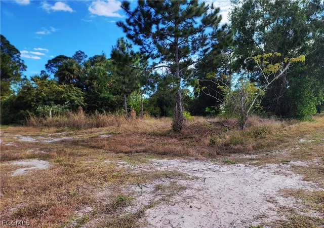 Photo 2 of Land for sale at 3125 29th Street Sw, Lehigh Acres, FL 33976 | MLS# 2026010445 | Listing updated on 2026-09-08