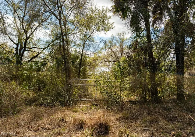 Photo 3 of Sale Pending at 3751 Bateman Rd, Alva, FL 33920 | MLS# 2026011874 | Listing updated on 2026-09-09
