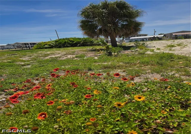 Photo 3 of Land for sale at 3063 York Rd, St James City, FL 33956 | MLS# 2026020403 | Listing updated on 2026-09-22