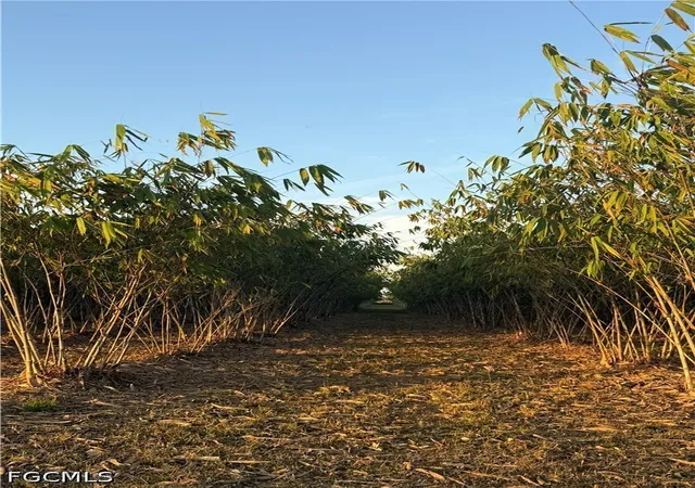 Photo 3 of Land for sale at 6724 5th Road, La Belle, FL 33935 | MLS# 2026021621 | Listing updated on 2026-09-09