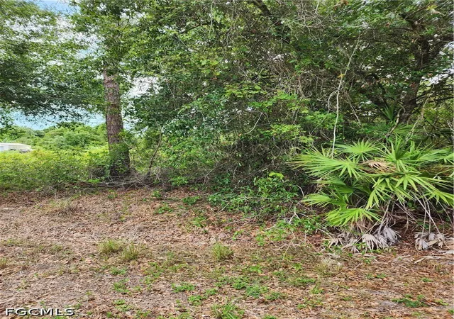 Photo 1 of Land for sale at 1114 Mckinley Ave, Lehigh Acres, FL 33972 | MLS# 2026023329 | Listing updated on 2026-09-07