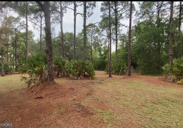Photo 2 of Land for sale at 17090 Shady Grv Ln, Cape Coral, FL 33909 | MLS# 2026024163 | Listing updated on 2026-09-10