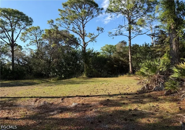 Photo 3 of Land for sale at 17090 Shady Grv Ln, Cape Coral, FL 33909 | MLS# 2026024163 | Listing updated on 2026-09-10