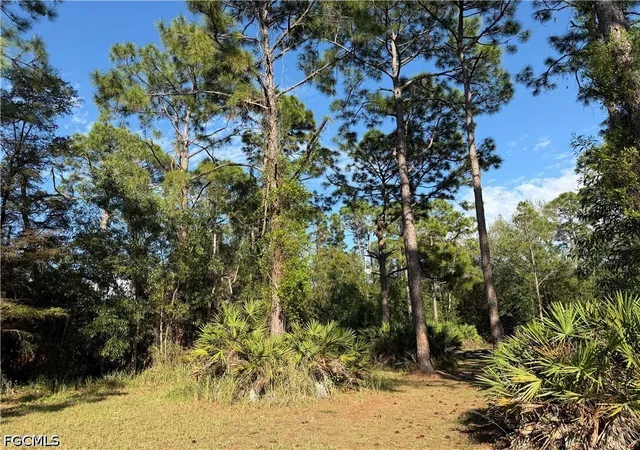 Photo 3 of Land for sale at 17090 Shady Grv Ln, Cape Coral, FL 33909 | MLS# 2026024163 | Listing updated on 2026-09-10