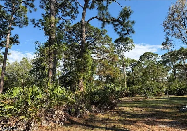 Photo 4 of Land for sale at 17090 Shady Grv Ln, Cape Coral, FL 33909 | MLS# 2026024163 | Listing updated on 2026-09-10