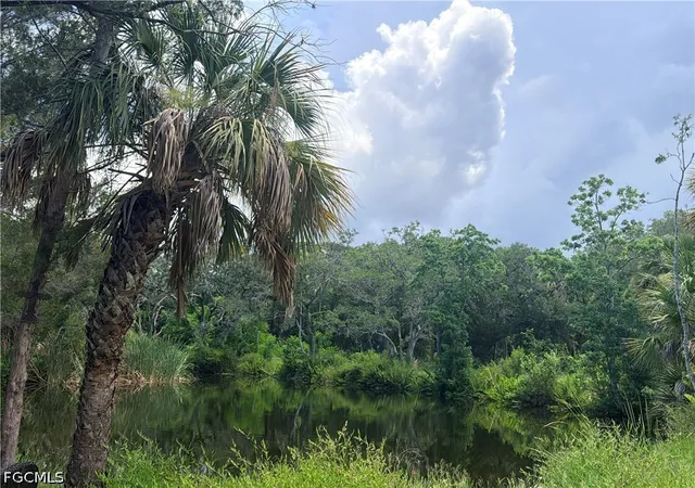 Photo 1 of Land for sale at 7675 Detroit Ave, Hudson, FL 34667 | MLS# 2026024932 | Listing updated on 2026-09-16
