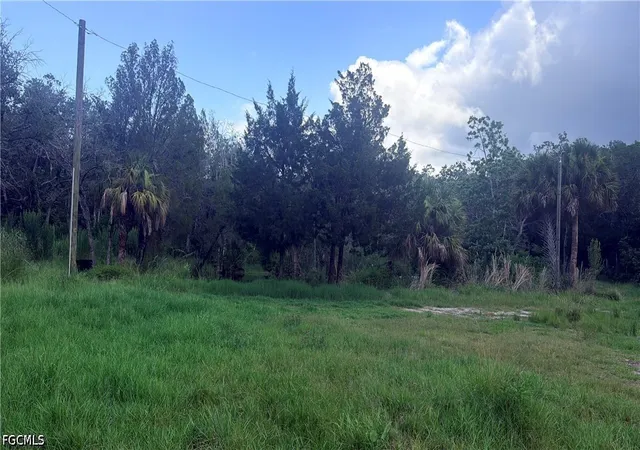 Photo 3 of Land for sale at 7675 Detroit Ave, Hudson, FL 34667 | MLS# 2026024932 | Listing updated on 2026-09-16