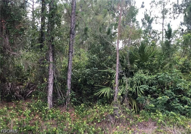 Photo 1 of Sale Pending at 815 State Ave, Lehigh Acres, FL 33972 | MLS# 2026025147 | Listing updated on 2026-10-06