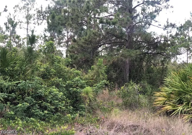 Photo 3 of Sale Pending at 815 State Ave, Lehigh Acres, FL 33972 | MLS# 2026025147 | Listing updated on 2026-10-06