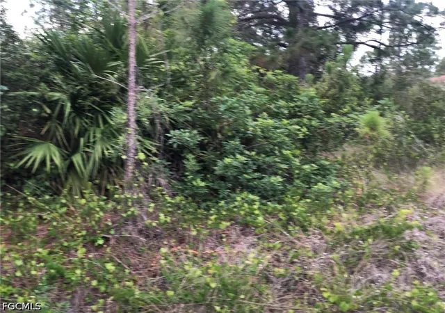 Photo 3 of Sale Pending at 815 State Ave, Lehigh Acres, FL 33972 | MLS# 2026025147 | Listing updated on 2026-10-06