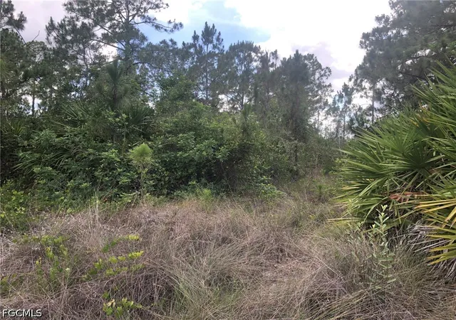 Photo 4 of Sale Pending at 815 State Ave, Lehigh Acres, FL 33972 | MLS# 2026025147 | Listing updated on 2026-10-06