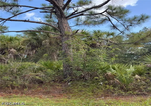 Photo 2 of Land for sale at 3255 Lisa St, Port Charlotte, FL 33948 | MLS# 2026025629 | Listing updated on 2026-09-22