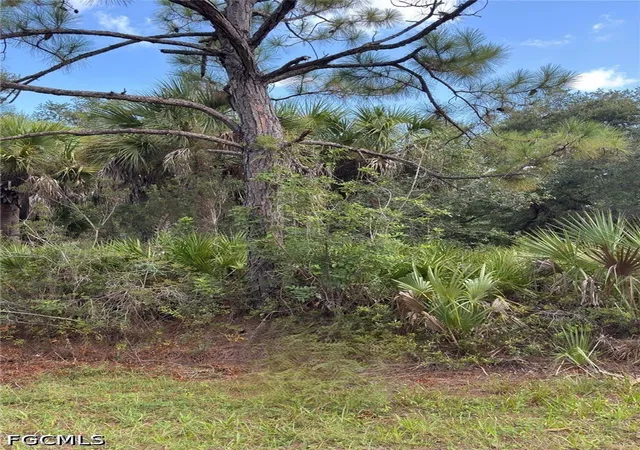 Photo 4 of Land for sale at 3255 Lisa St, Port Charlotte, FL 33948 | MLS# 2026025629 | Listing updated on 2026-09-22
