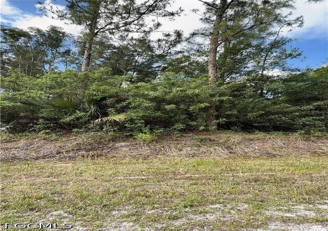Photo 3 of Land for sale at 2830 Ne 70th Avenue, Naples, FL 34120 | MLS# 2026027009 | Listing updated on 2026-09-09