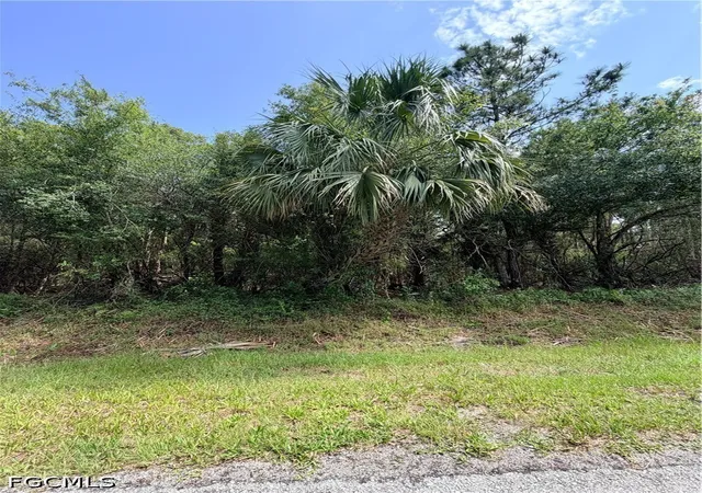 Photo 4 of Land for sale at 2830 NE 70th Avenue, Naples, FL 34120 | MLS# 2026027009 | Listing updated on 2026-09-09