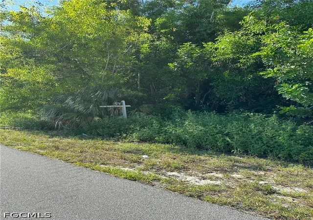 Photo 1 of Land for sale at 314 Nw 5th Terrace, Cape Coral, FL 33993 | MLS# 2026027333 | Listing updated on 2026-09-16