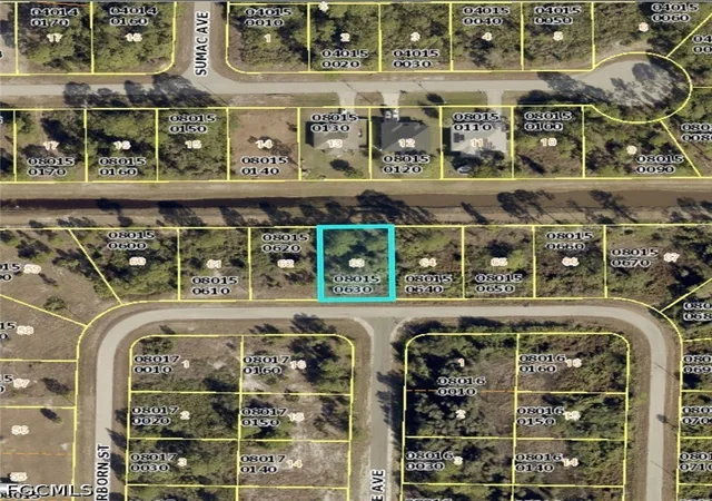 Photo 2 of Land for sale at 1053 Dearborn St, Lehigh Acres, FL 33974 | MLS# 2026029350 | Listing updated on 2026-09-16