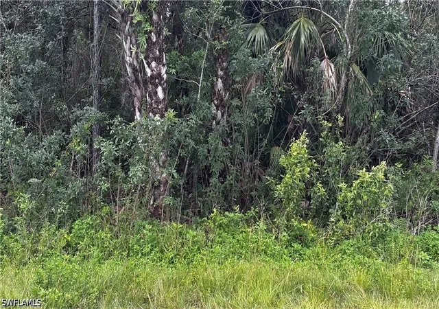 Photo 3 of Land for sale at 0000 20th Avenue Se, Naples, FL 34117 | MLS# 226025545 | Listing updated on 2026-09-08