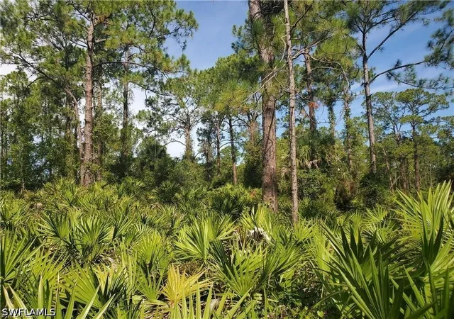 Photo 2 of Land for sale at 1302 Louis Ave, Lehigh Acres, FL 33972 | MLS# 226026696 | Listing updated on 2026-09-16