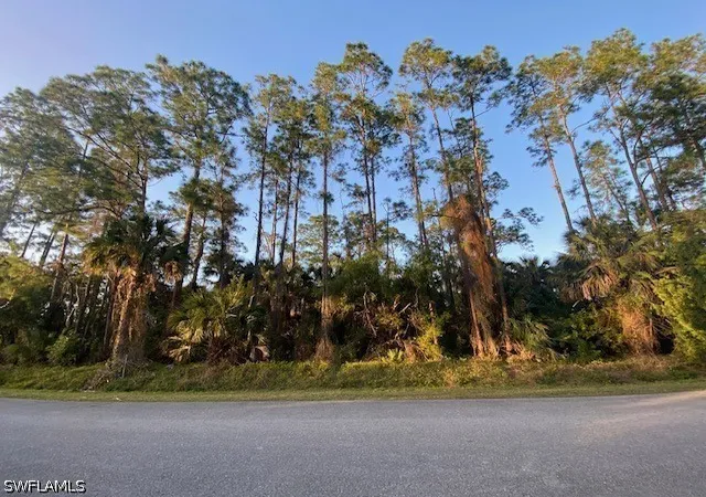 Photo 2 of Land for sale at 14 Avenue Se, Naples, FL 34117 | MLS# 226027597 | Listing updated on 2026-09-04