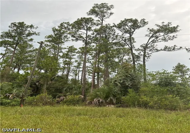 Land for sale at 373/375 Greenbriar Blvd, Lehigh Acres, FL 33972 | MLS# 226028391