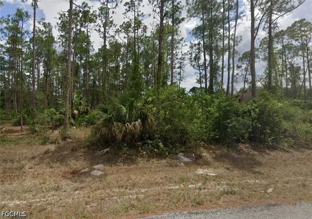 Photo 3 of Land for sale at 3000 E 22nd Street, Alva, FL 33920 | MLS# 2026034153 | Listing updated on 2026-09-11