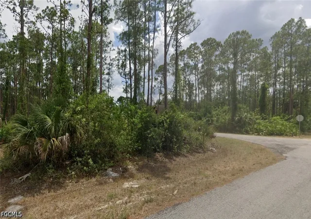 Photo 4 of Land for sale at 3000 E 22nd Street, Alva, FL 33920 | MLS# 2026034153 | Listing updated on 2026-09-11