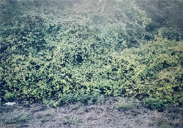 Photo 1 of Land for sale at 6049 Lacota Ave, Fort Myers, FL 33905 | MLS# 2026034303 | Listing updated on 2026-09-18