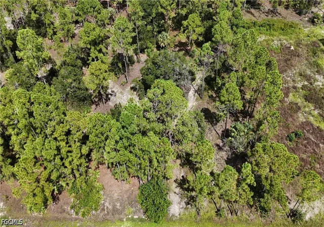 Photo 1 of Land for sale at 1212 Calvin Ave, Lehigh Acres, FL 33972 | MLS# 2026034735 | Listing updated on 2026-09-19