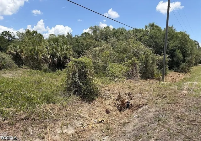 Photo 21 of Sale Pending at 1201 Homestead Ave, Clewiston, FL 33440 | MLS# 2026036226 | Listing updated on 2026-09-09