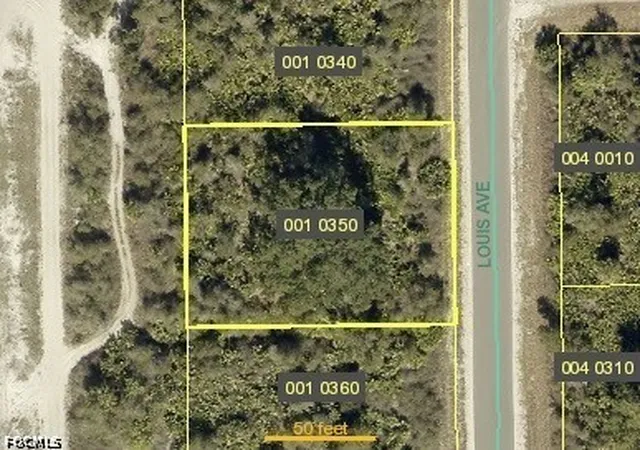 Photo 1 of Land for sale at 2803 Louis Ave, Alva, FL 33920 | MLS# 2026036605 | Listing updated on 2026-09-11