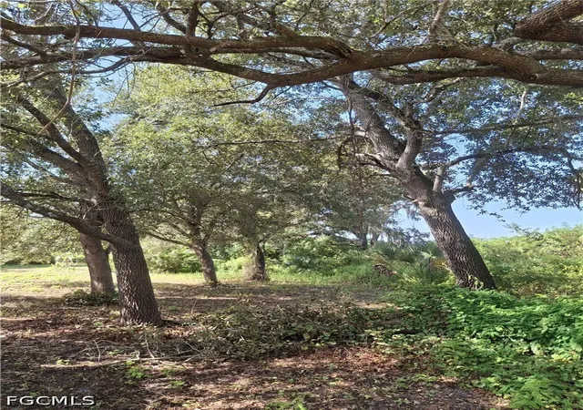 Photo 3 of Land for sale at 7979 22nd Place, Labelle, FL 33935 | MLS# 2026036670 | Listing updated on 2026-09-03