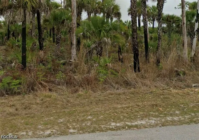 Land for sale at 2695 22Nd Ave Se, Naples, FL 34117 | MLS# 2026036701