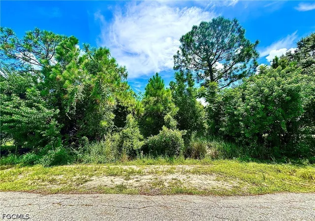Photo 1 of Land for sale at 1006 Robert Ave, Lehigh Acres, FL 33936 | MLS# 2026036761 | Listing updated on 2026-09-02