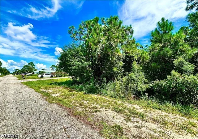 Photo 3 of Land for sale at 1006 Robert Ave, Lehigh Acres, FL 33936 | MLS# 2026036761 | Listing updated on 2026-09-02