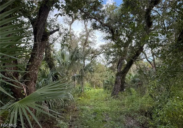 Photo 1 of Land for sale at 43026 L28 Cnl Rd, Immokalee, FL 34142 | MLS# 2026036921 | Listing updated on 2026-09-14