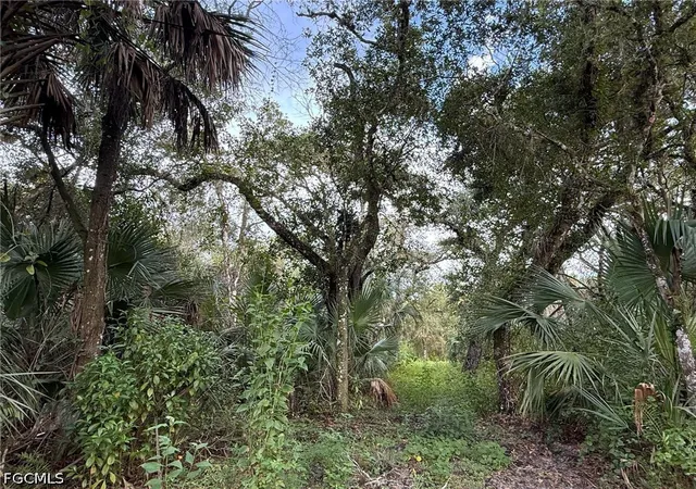 Photo 2 of Land for sale at 43026 L28 Cnl Rd, Immokalee, FL 34142 | MLS# 2026036921 | Listing updated on 2026-09-14