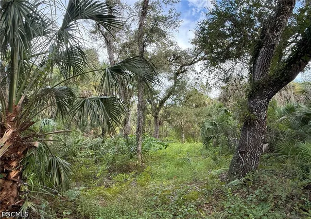 Photo 3 of Land for sale at 43026 L28 Cnl Rd, Immokalee, FL 34142 | MLS# 2026036921 | Listing updated on 2026-09-14