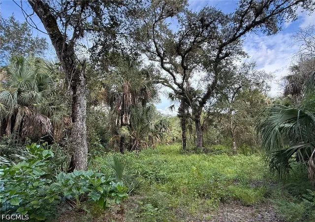 Photo 3 of Land for sale at 43026 L28 Cnl Rd, Immokalee, FL 34142 | MLS# 2026036921 | Listing updated on 2026-09-14