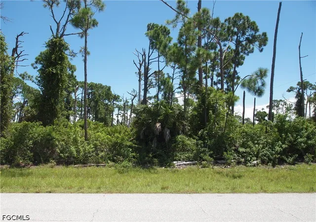 Photo 4 of Land for sale at 12280 Dabney Ct, Port Charlotte, FL 33981 | MLS# 2026037115 | Listing updated on 2026-09-02