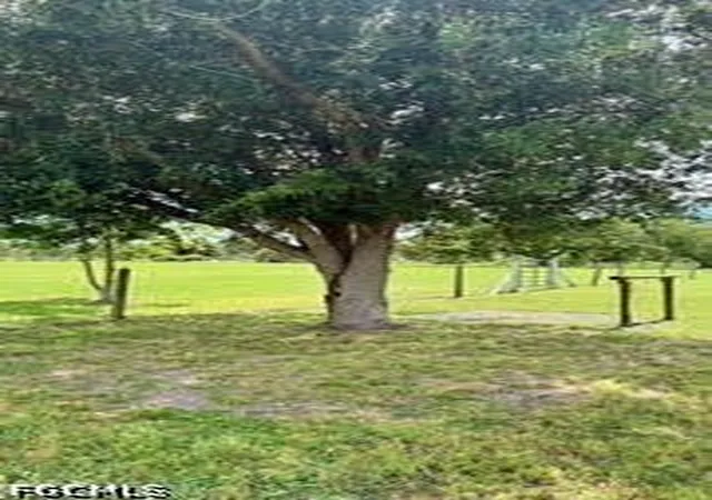 Photo 3 of Sale Pending at 13300 Morningstar Ln, Bokeelia, FL 33922 | MLS# 2026037142 | Listing updated on 2026-09-05